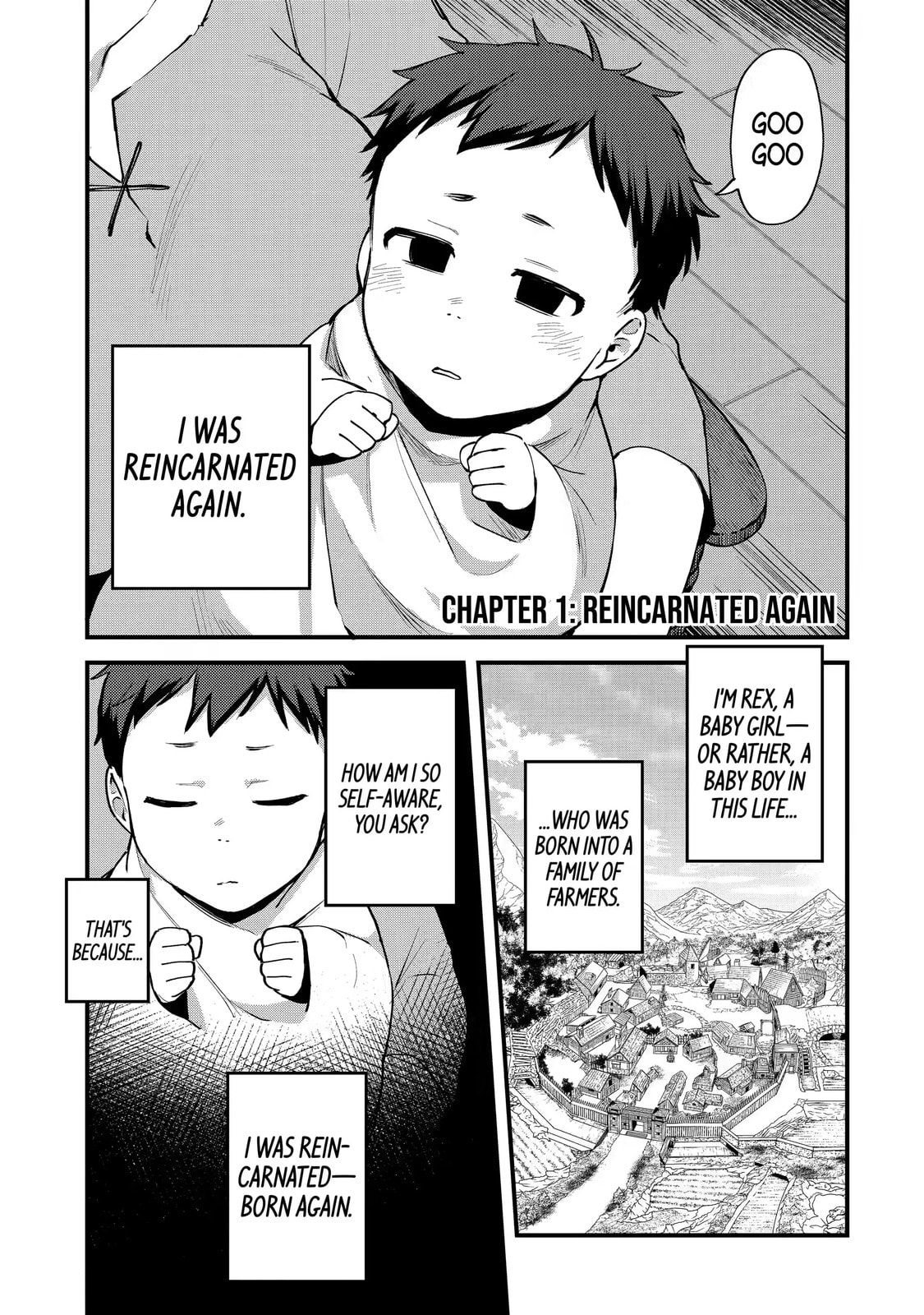 The Re-Reincarnated Boy Lives Peacefully as an S-Rank Adventurer: I, a Sage and Hero in My Previous Lives, Will Live a Simple Life in My Next Chapter 1.1 page 1 - 