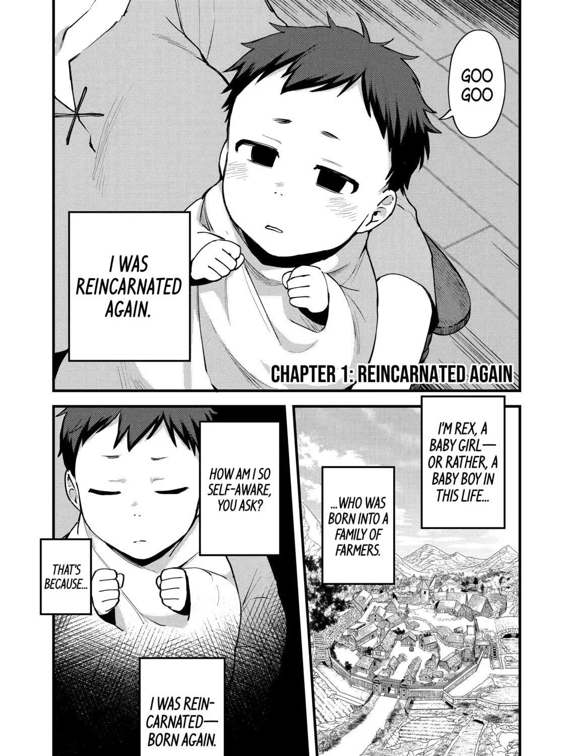 The Re-Reincarnated Boy Lives Peacefully as an S-Rank Adventurer: I, a Sage and Hero in My Previous Lives, Will Live a Simple Life in My Next Chapter 1 page 1 - 