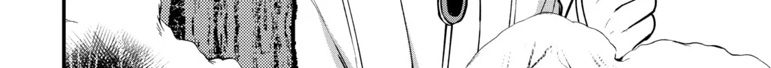 The Re-Reincarnated Boy Lives Peacefully as an S-Rank Adventurer: I, a Sage and Hero in My Previous Lives, Will Live a Simple Life in My Next Chapter 11 page 46 - 