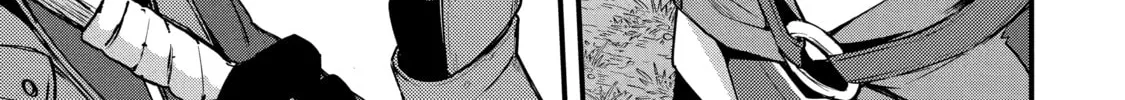 The Re-Reincarnated Boy Lives Peacefully as an S-Rank Adventurer: I, a Sage and Hero in My Previous Lives, Will Live a Simple Life in My Next Chapter 16 page 2 - 