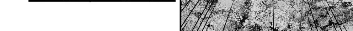 The Re-Reincarnated Boy Lives Peacefully as an S-Rank Adventurer: I, a Sage and Hero in My Previous Lives, Will Live a Simple Life in My Next Chapter 27 page 4 - 