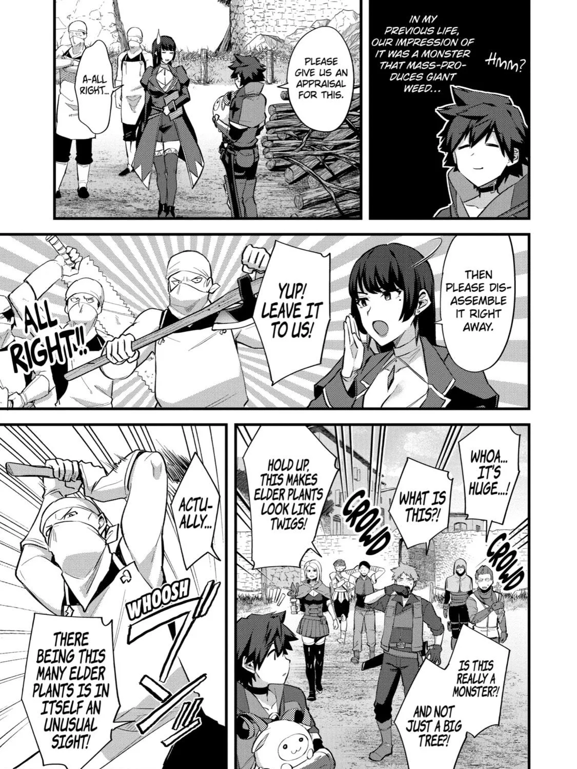 The Re-Reincarnated Boy Lives Peacefully as an S-Rank Adventurer: I, a Sage and Hero in My Previous Lives, Will Live a Simple Life in My Next Chapter 29 page 17 - 