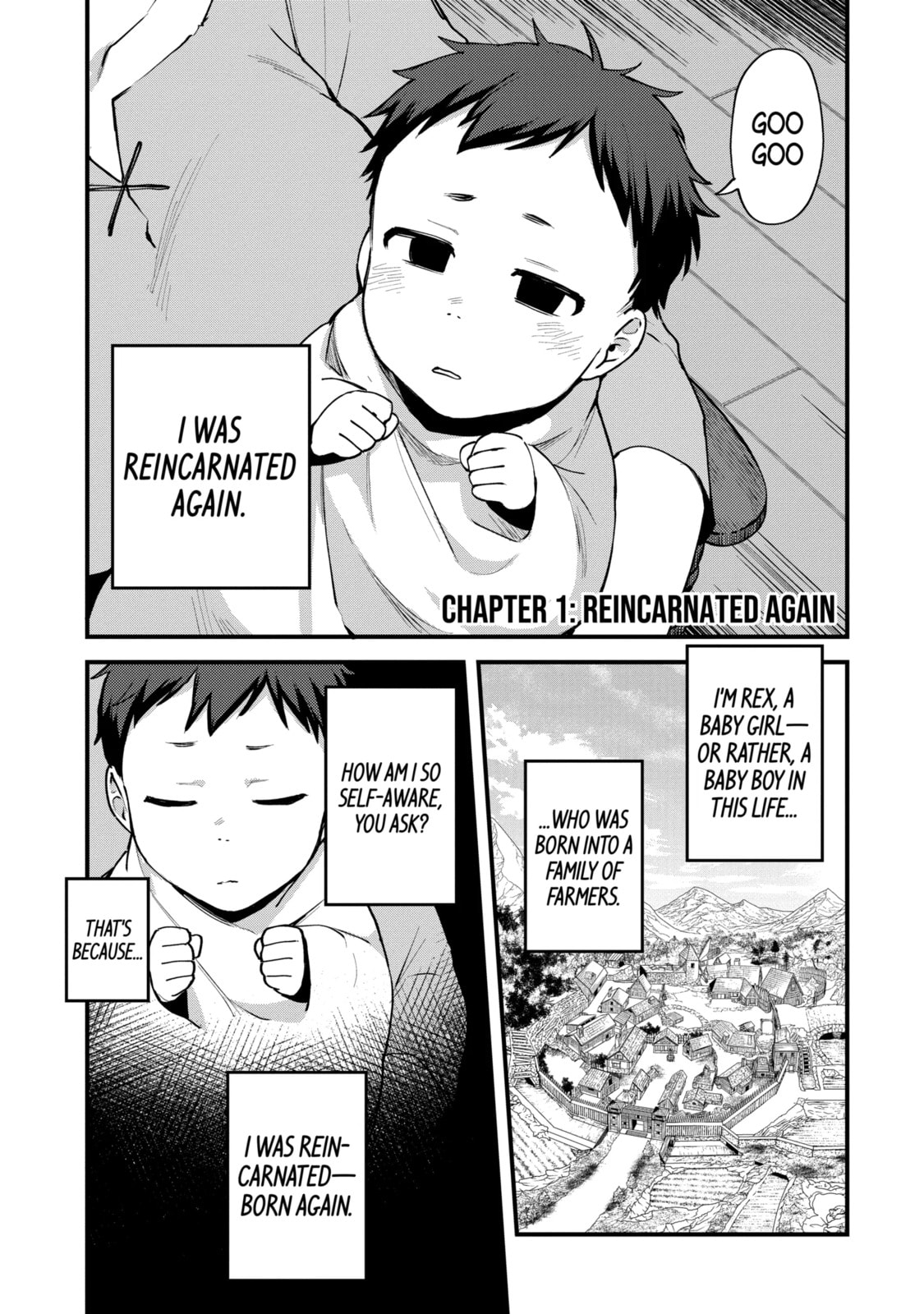 The Re-Reincarnated Boy Lives Peacefully as an S-Rank Adventurer: I, a Sage and Hero in My Previous Lives, Will Live a Simple Life in My Next Chapter 35.3 page 1 - 