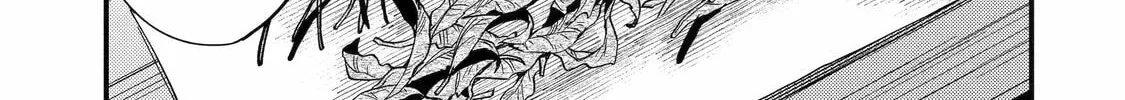 The Re-Reincarnated Boy Lives Peacefully as an S-Rank Adventurer: I, a Sage and Hero in My Previous Lives, Will Live a Simple Life in My Next Chapter 44 page 2 - 