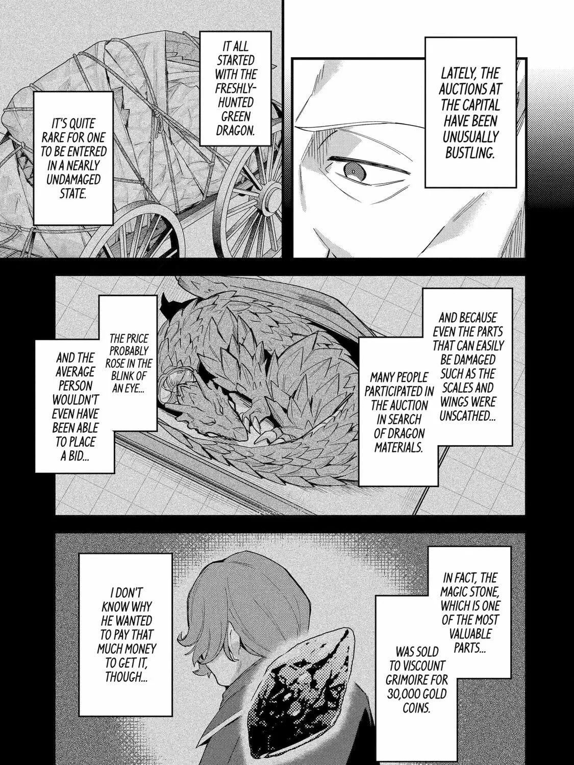 The Re-Reincarnated Boy Lives Peacefully as an S-Rank Adventurer: I, a Sage and Hero in My Previous Lives, Will Live a Simple Life in My Next Chapter 45 page 9 - 
