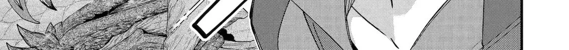 The Re-Reincarnated Boy Lives Peacefully as an S-Rank Adventurer: I, a Sage and Hero in My Previous Lives, Will Live a Simple Life in My Next Chapter 48 page 10 - 