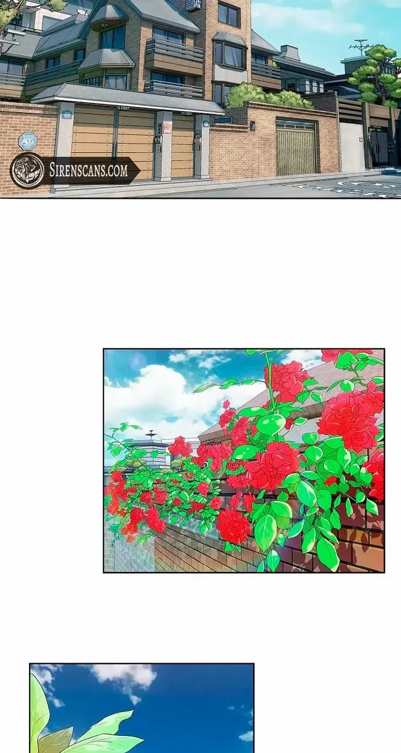 The Reason for a Confession Chapter 1 page 25 - 