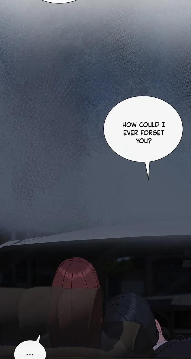 The Reason for a Confession Chapter 43 page 20 - 