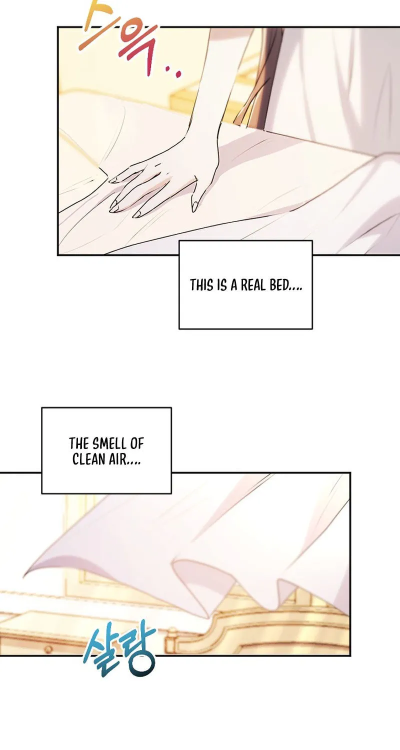 The Reason for Avoiding Him, the Perfect One Chapter 1 page 48 - 