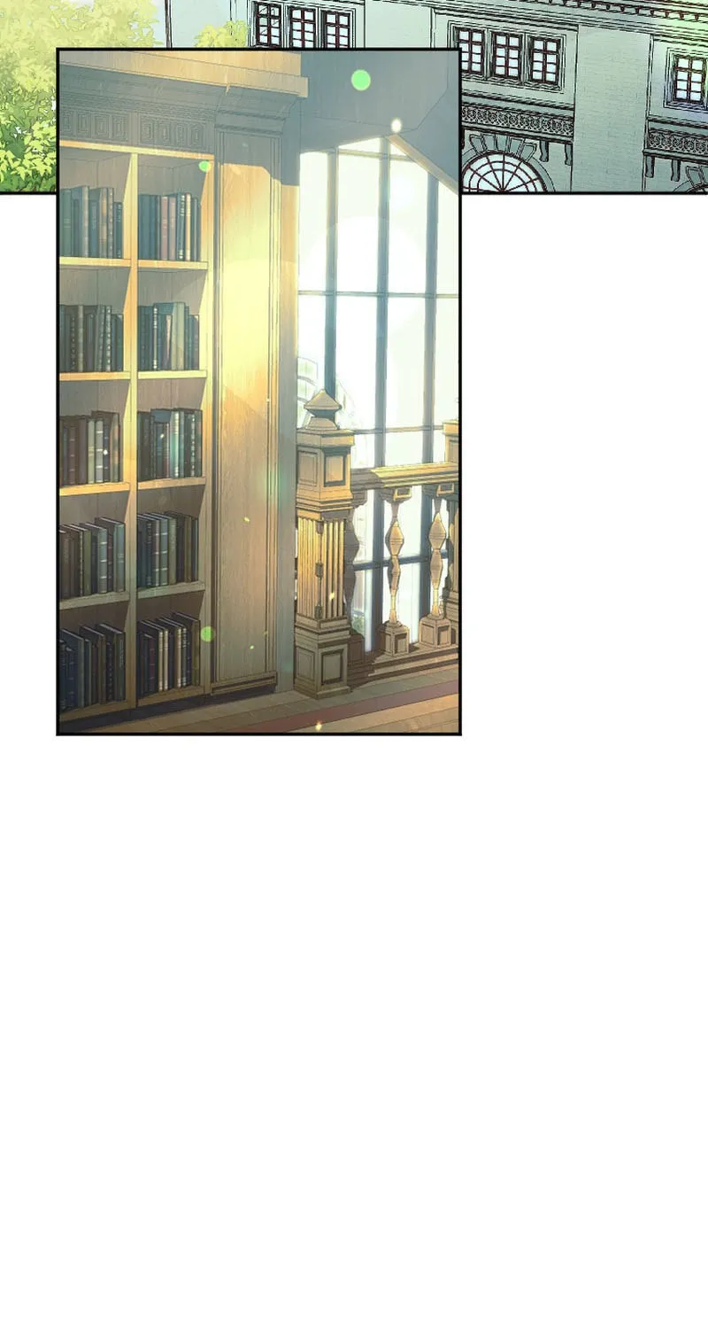 The Reason for Avoiding Him, the Perfect One Chapter 2 page 25 - 
