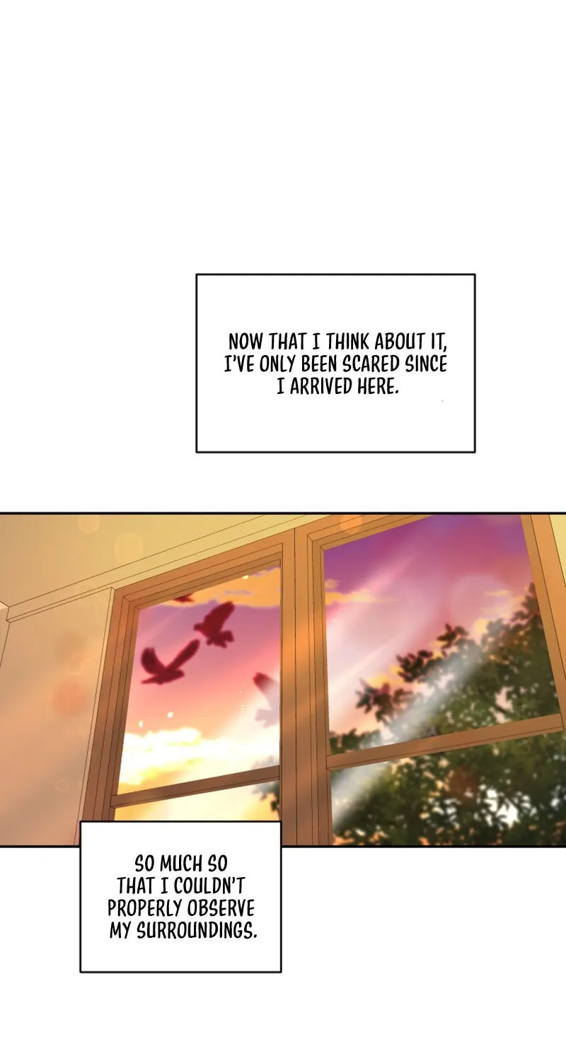 The Reason for Avoiding Him, the Perfect One Chapter 3 page 61 - 