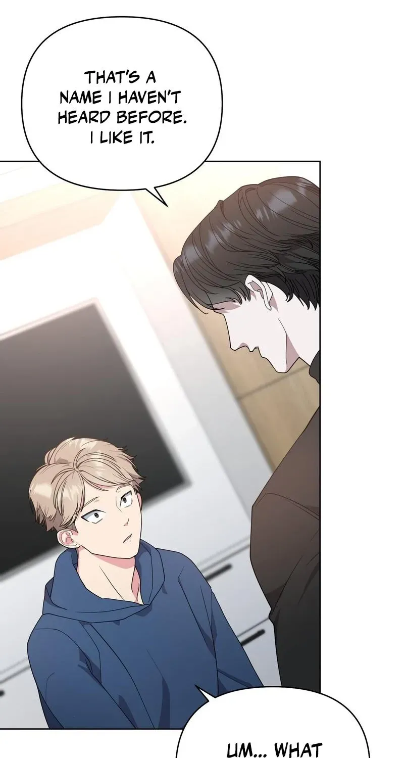 The Reason for Existing Chapter 2 page 15 - 
