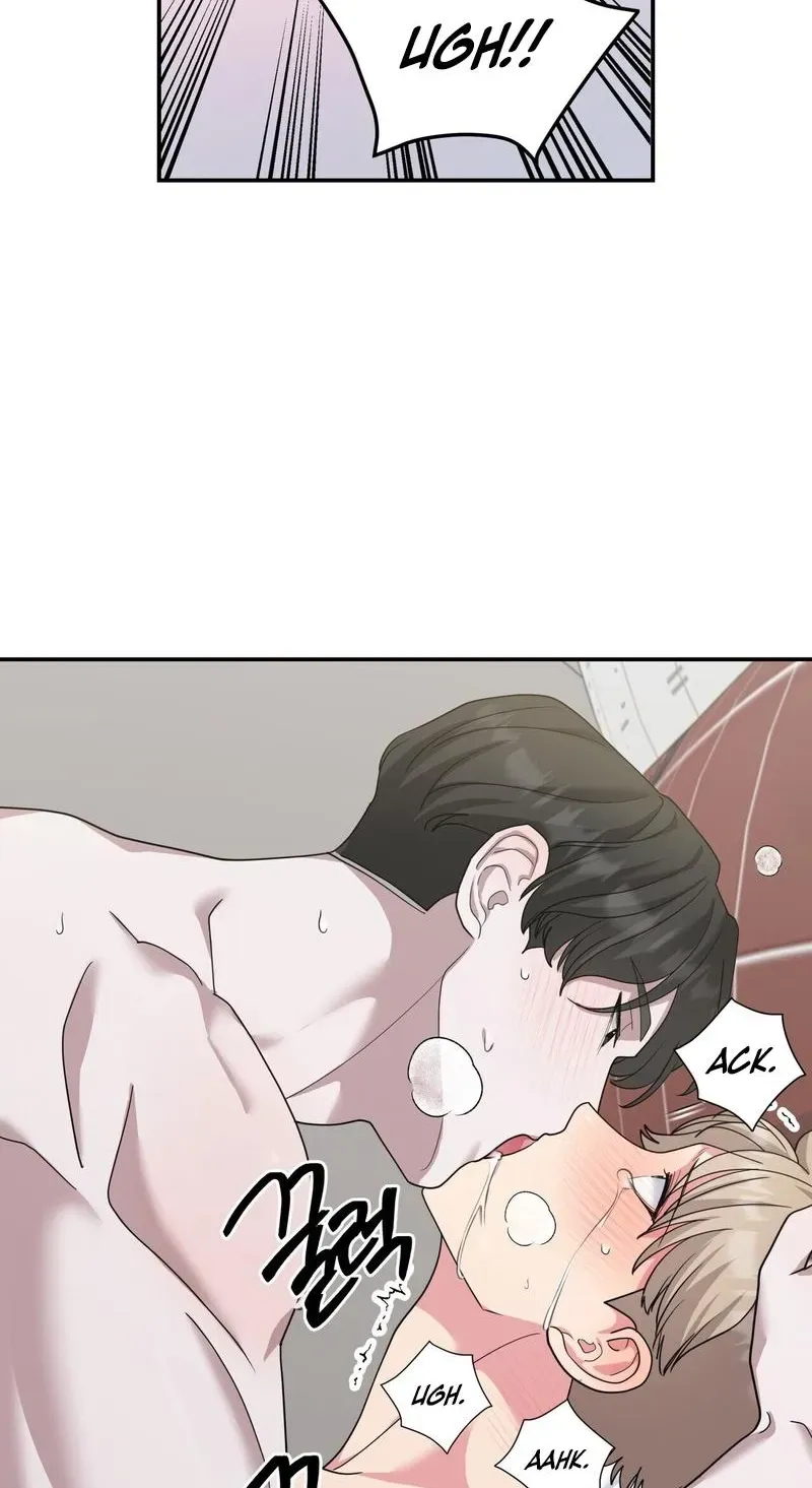 The Reason for Existing Chapter 3 page 81 - 