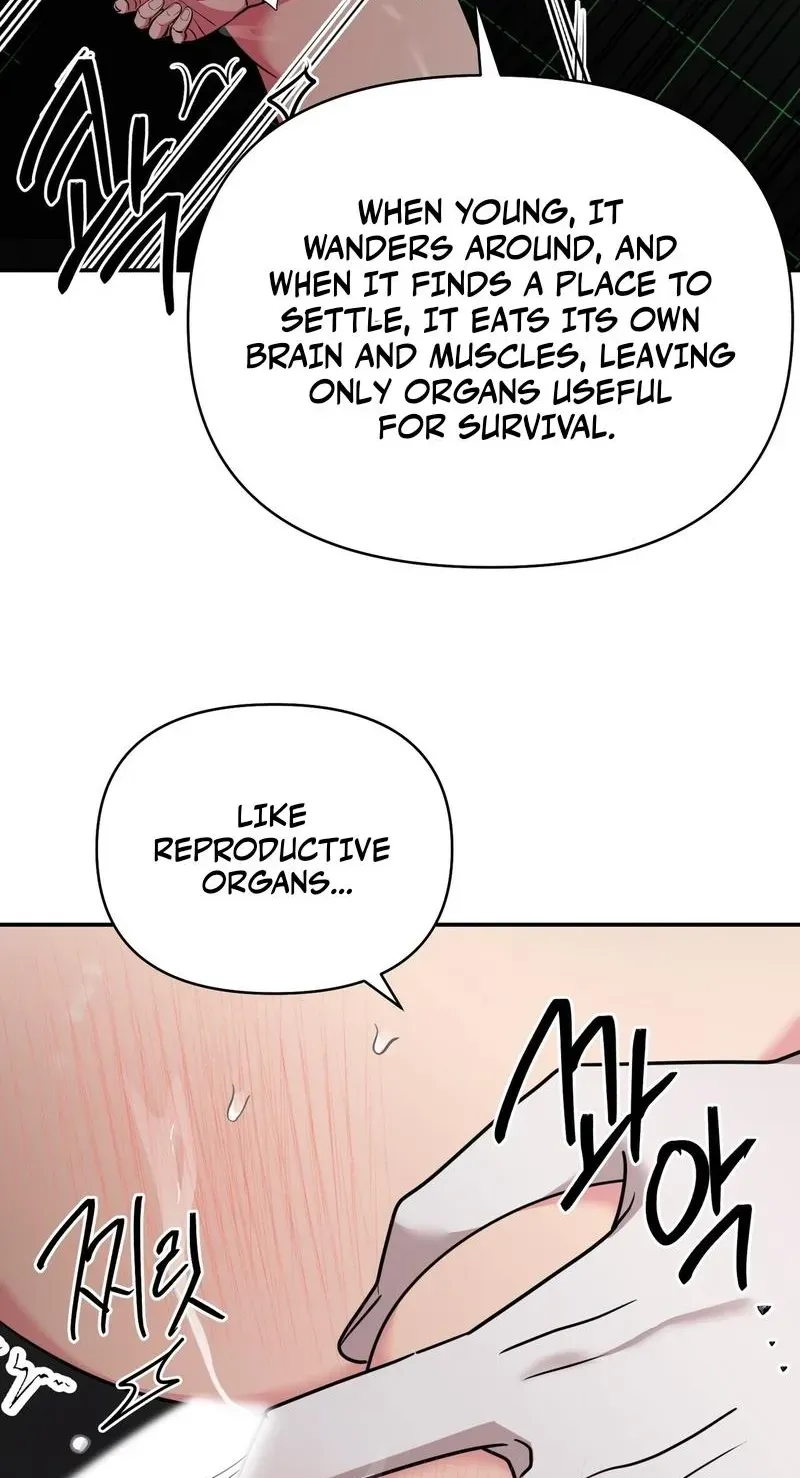 The Reason for Existing Chapter 5 page 54 - 