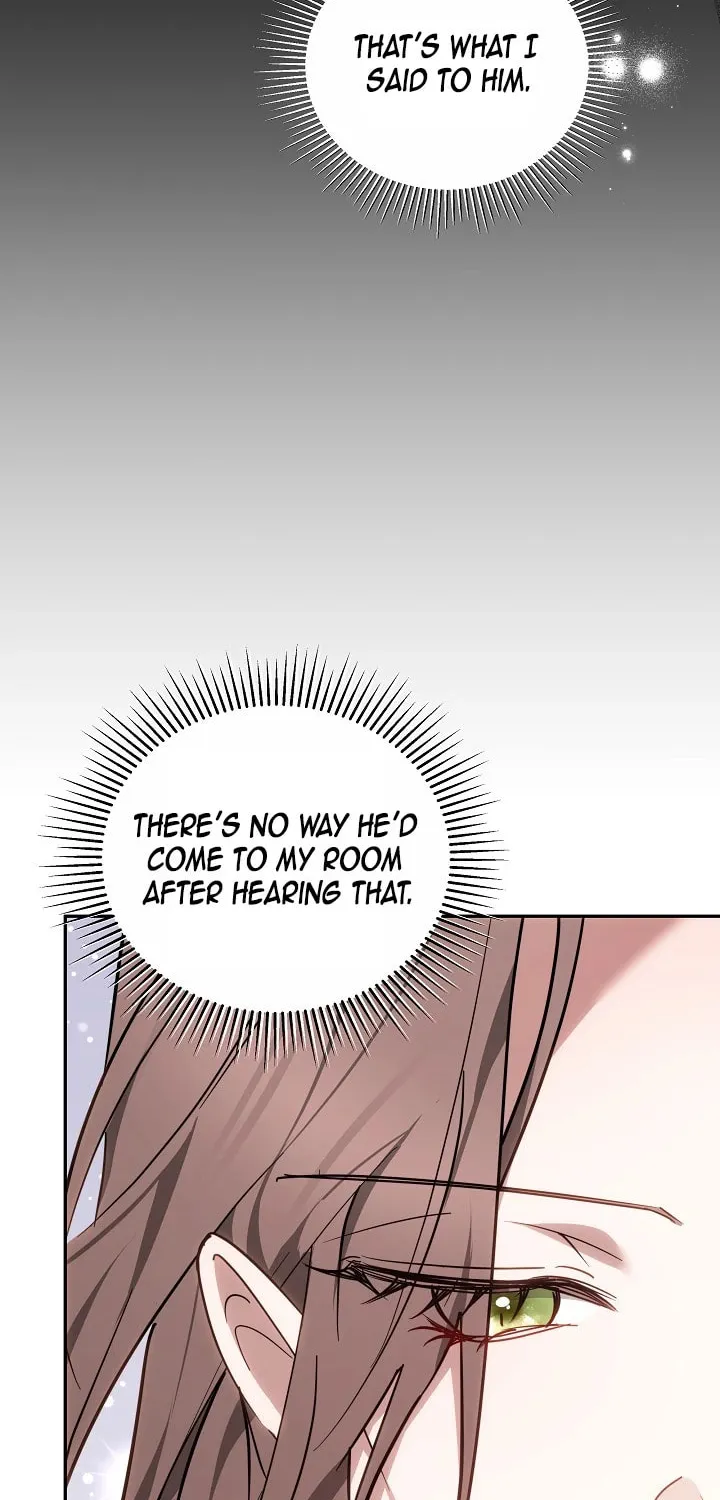 The Reason the Villainess Took Up the Sword Chapter 12 page 37 - 