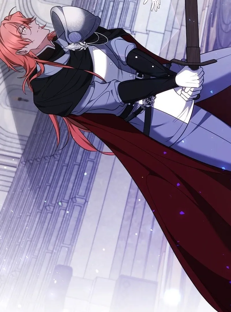 The Reason the Villainess Took Up the Sword Chapter 37 page 165 - 