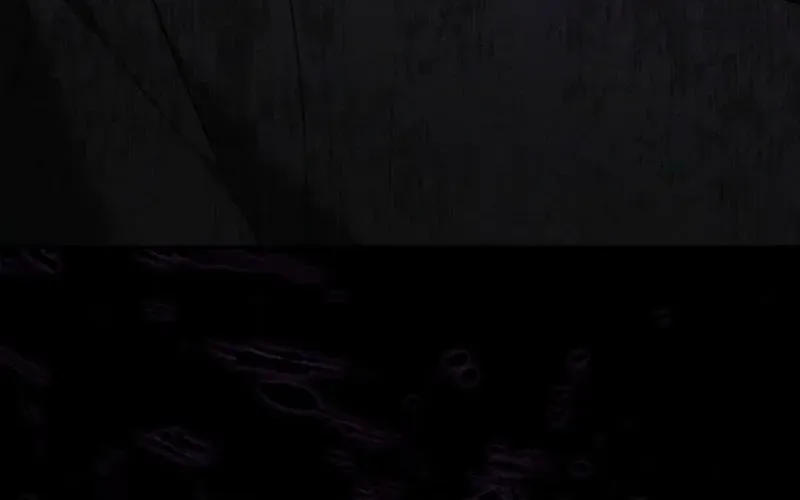The Reason the Villainess Wielded a Sword Chapter 14 page 115 - 