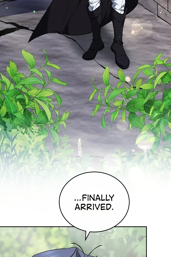 The Reason the Villainess Wielded a Sword Chapter 24 page 40 - 