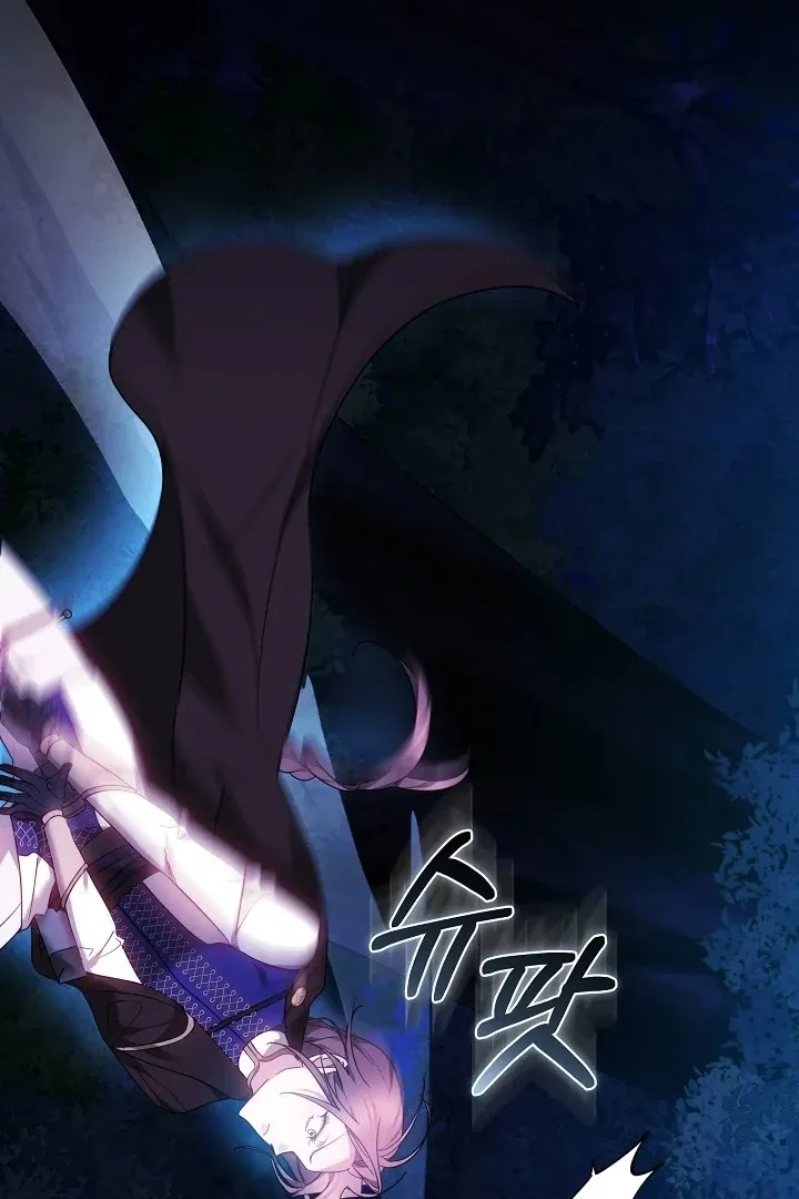 The Reason the Villainess Wielded a Sword Chapter 27 page 71 - 