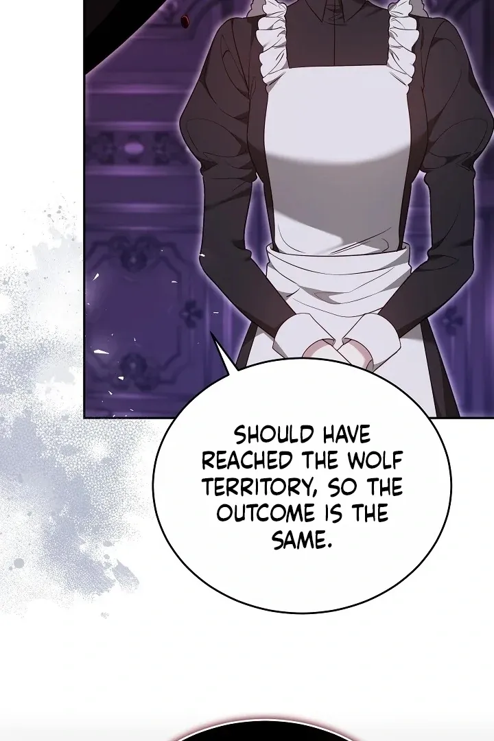 The Reason the Villainess Wielded a Sword Chapter 29 page 91 - 