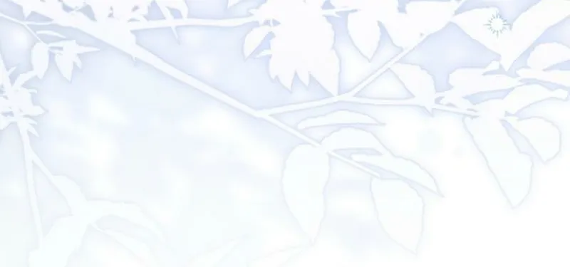 The reason why I am helping the villainous Duke Chapter 10 page 40 - 