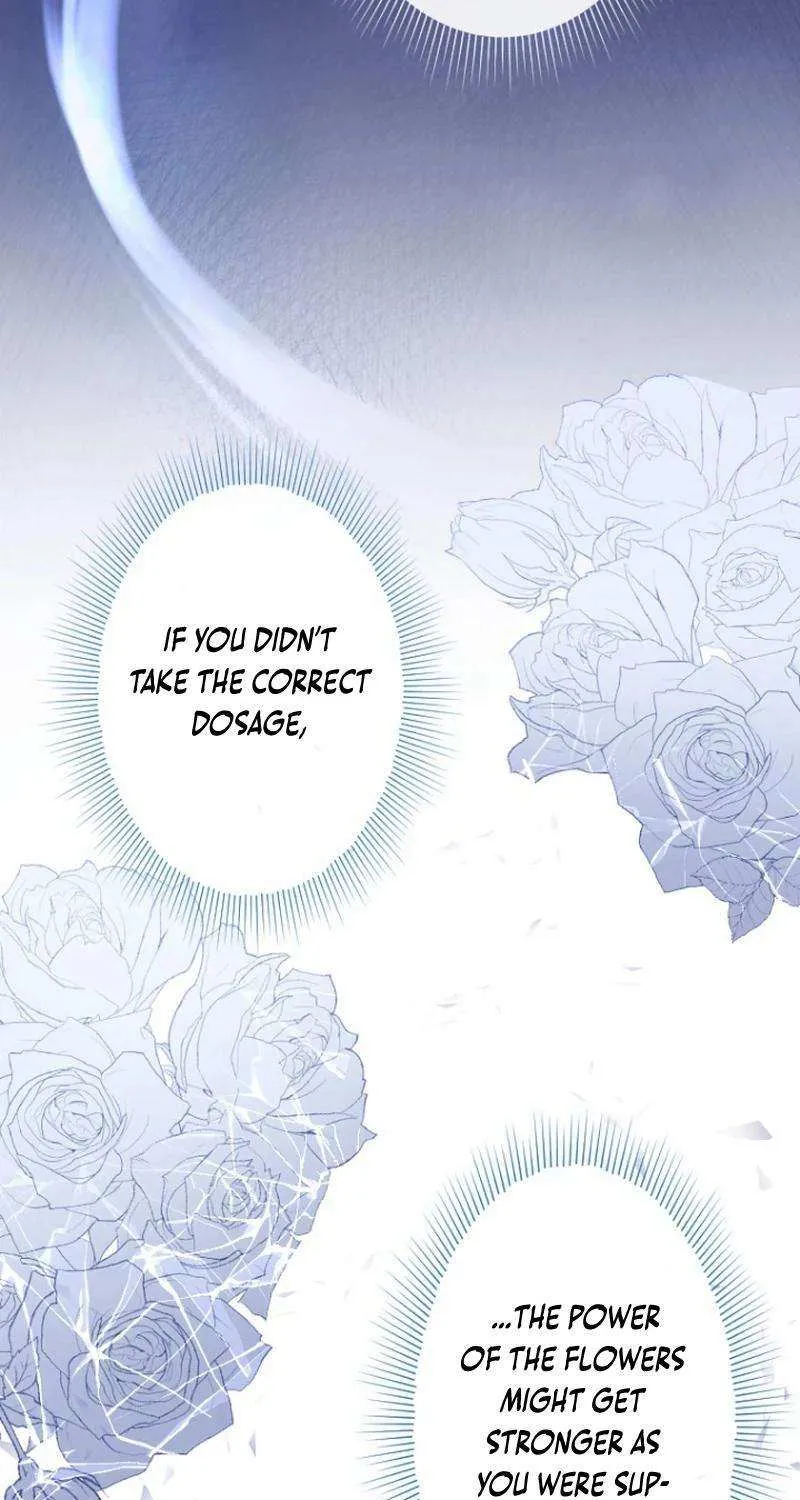 The Reason why Princess White Rose Wears Thorns Chapter 10 page 72 - 