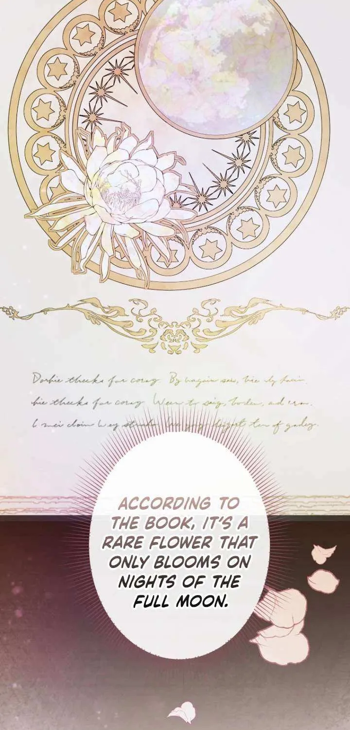The Reason why Princess White Rose Wears Thorns Chapter 11 page 11 - 