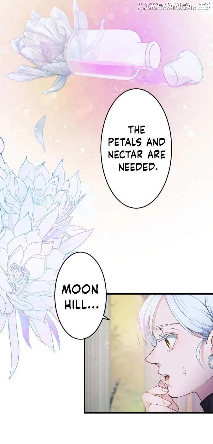 The Reason why Princess White Rose Wears Thorns Chapter 11 page 13 - 