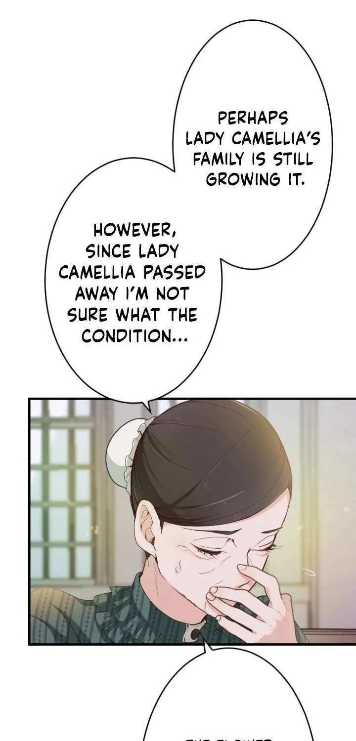 The Reason why Princess White Rose Wears Thorns Chapter 11 page 14 - 