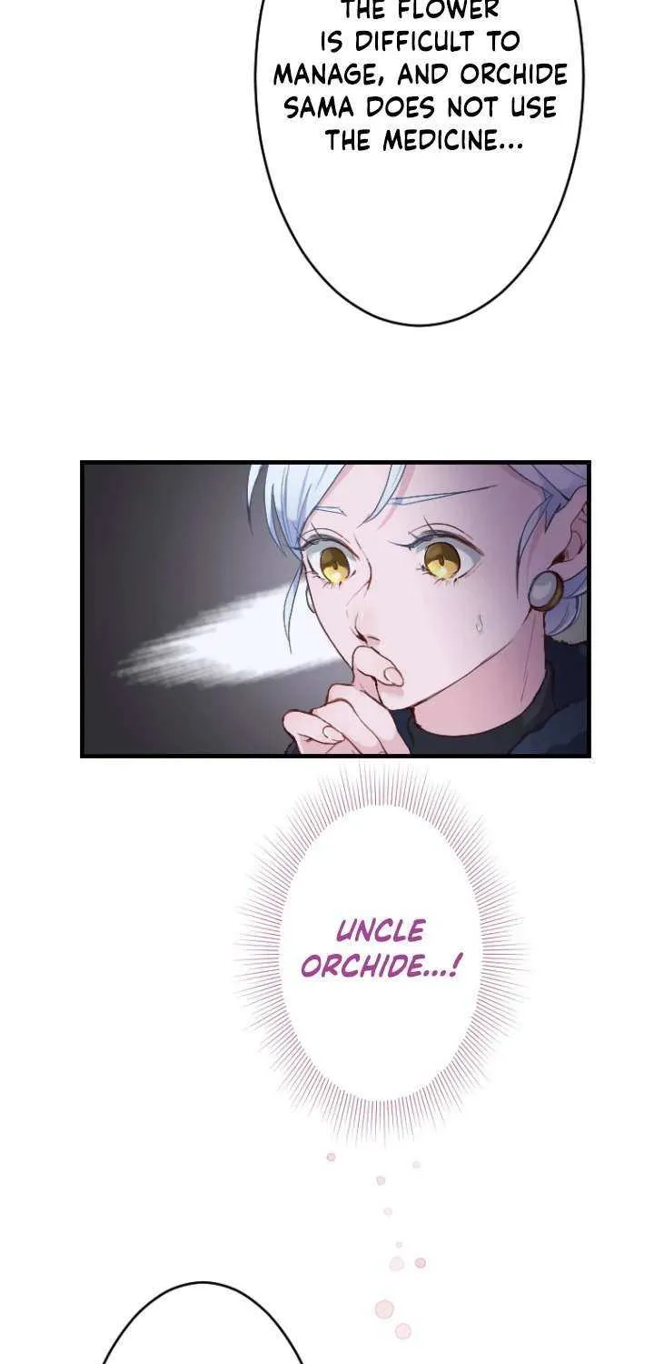The Reason why Princess White Rose Wears Thorns Chapter 11 page 15 - 