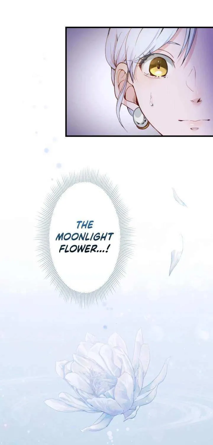 The Reason why Princess White Rose Wears Thorns Chapter 11 page 32 - 