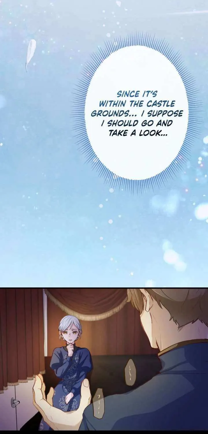 The Reason why Princess White Rose Wears Thorns Chapter 11 page 33 - 