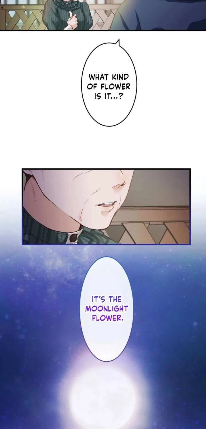 The Reason why Princess White Rose Wears Thorns Chapter 11 page 8 - 