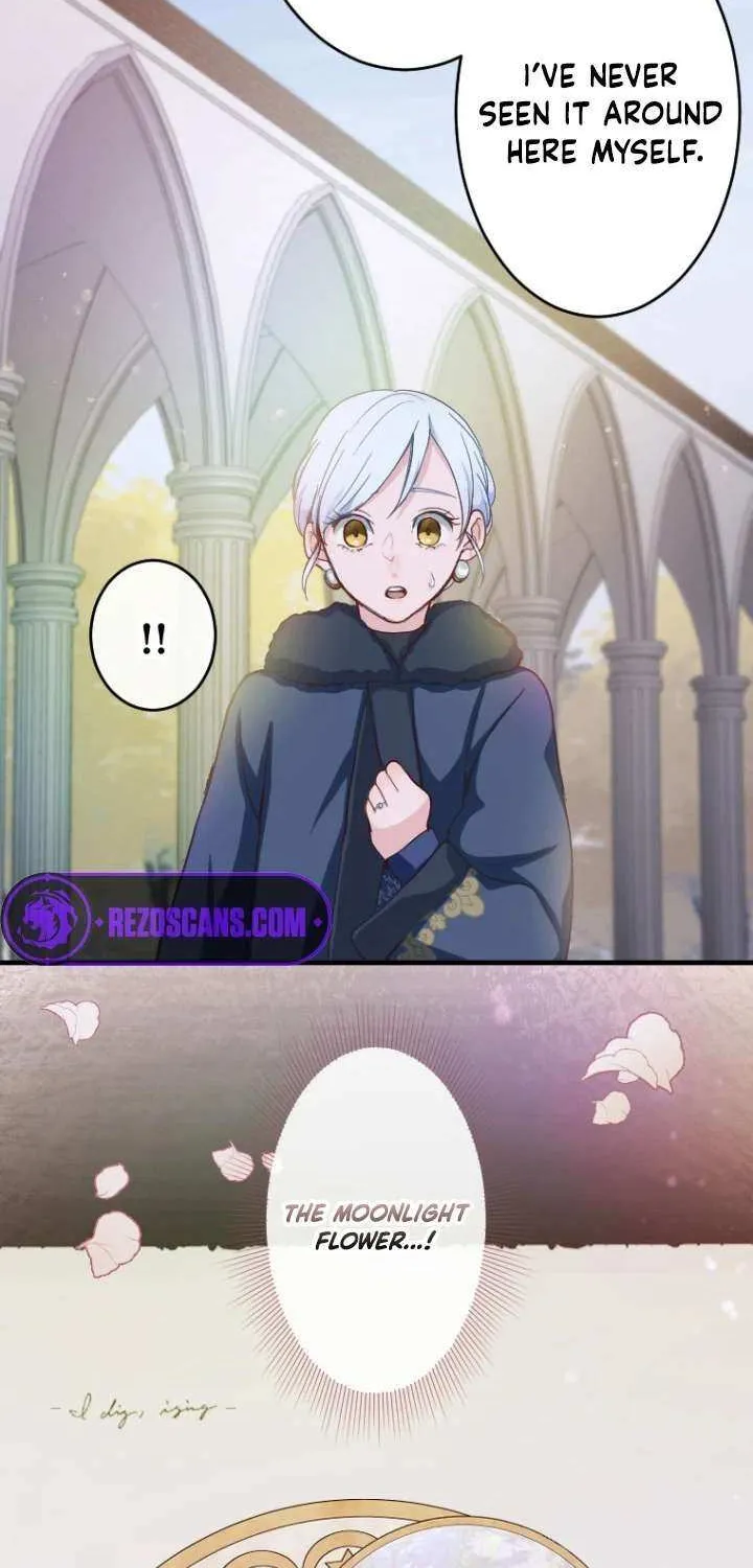 The Reason why Princess White Rose Wears Thorns Chapter 11 page 10 - 