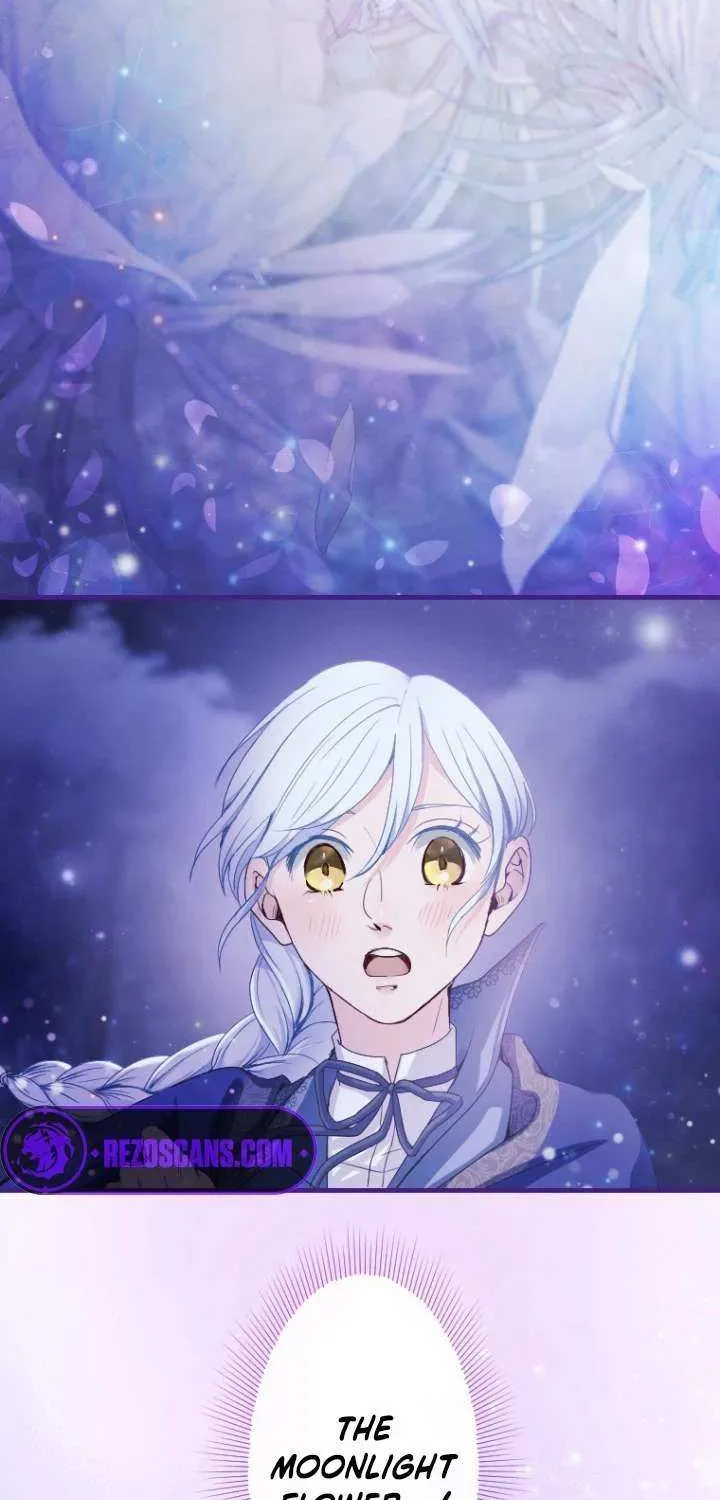The Reason why Princess White Rose Wears Thorns Chapter 12 page 47 - 