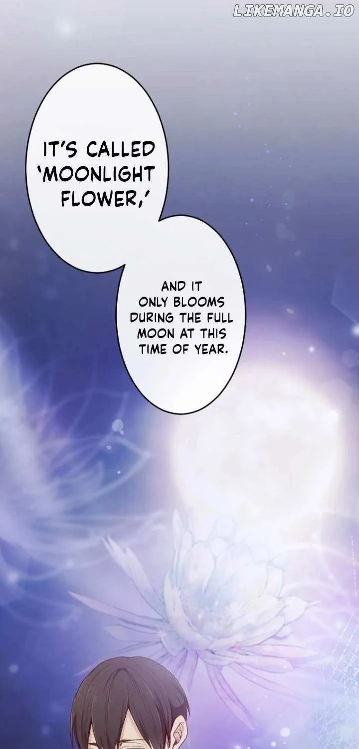 The Reason why Princess White Rose Wears Thorns Chapter 13 page 28 - 