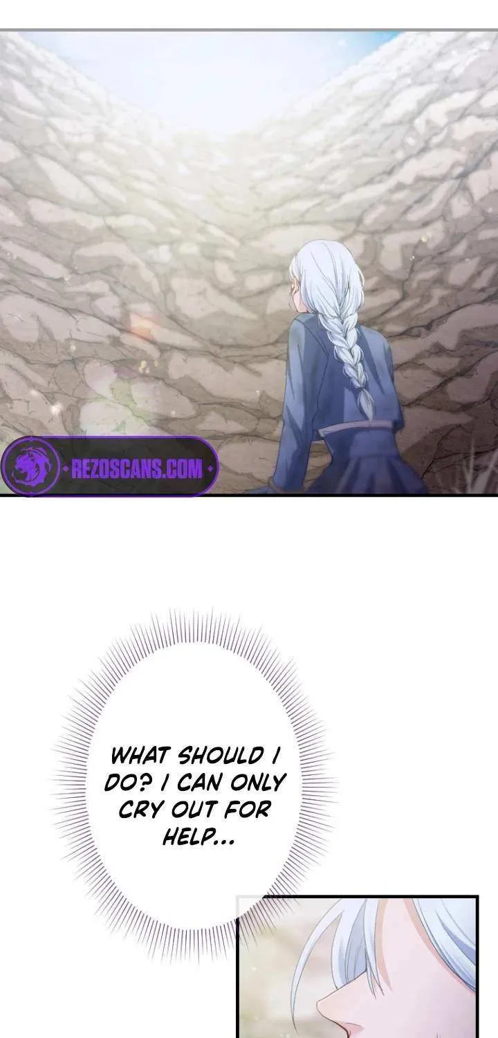 The Reason why Princess White Rose Wears Thorns Chapter 13 page 41 - 