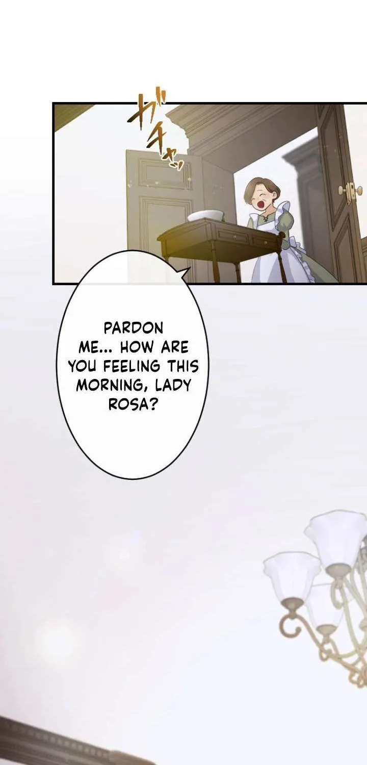 The Reason why Princess White Rose Wears Thorns Chapter 13 page 7 - 