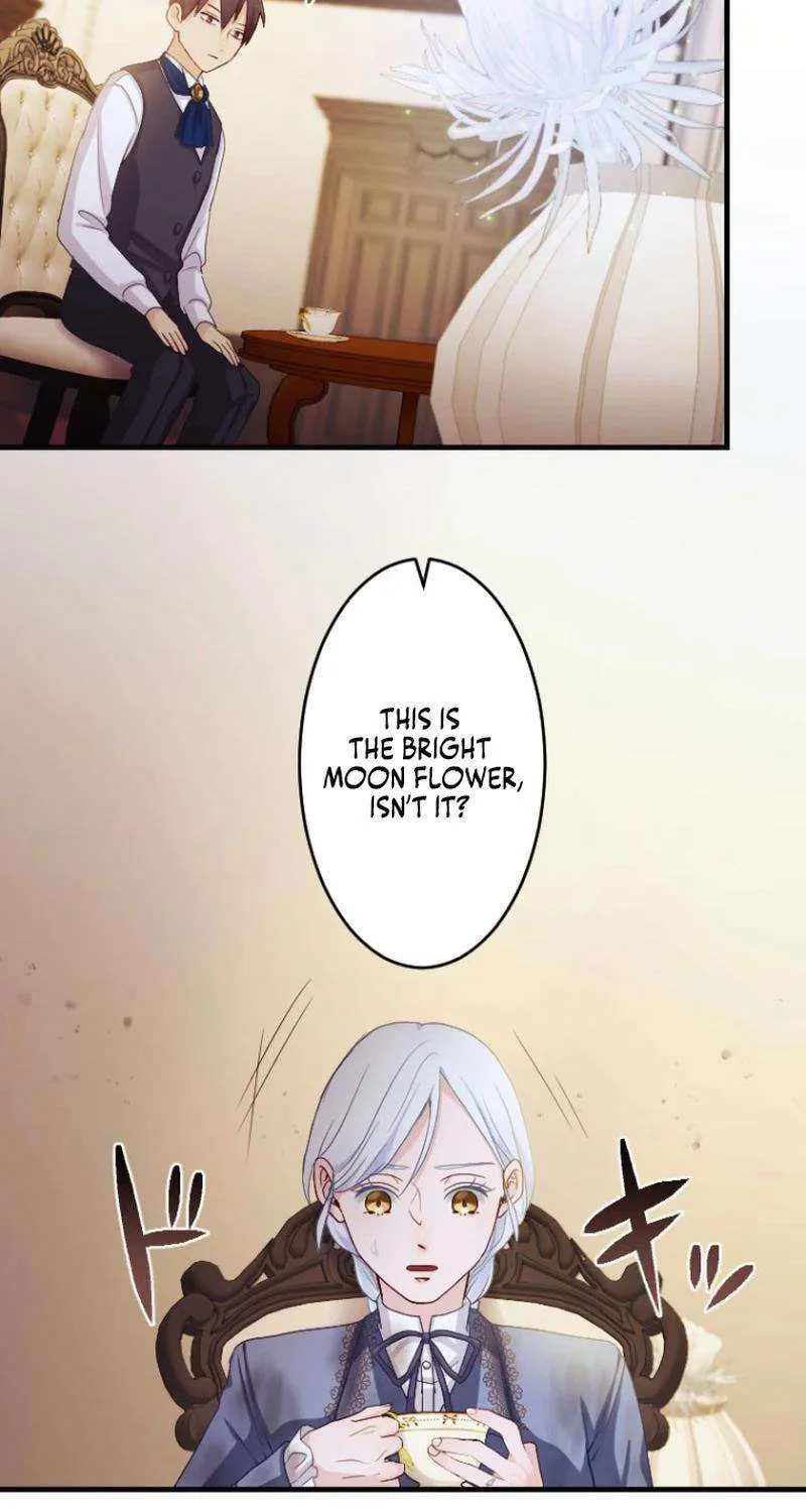 The Reason why Princess White Rose Wears Thorns Chapter 14 page 60 - 