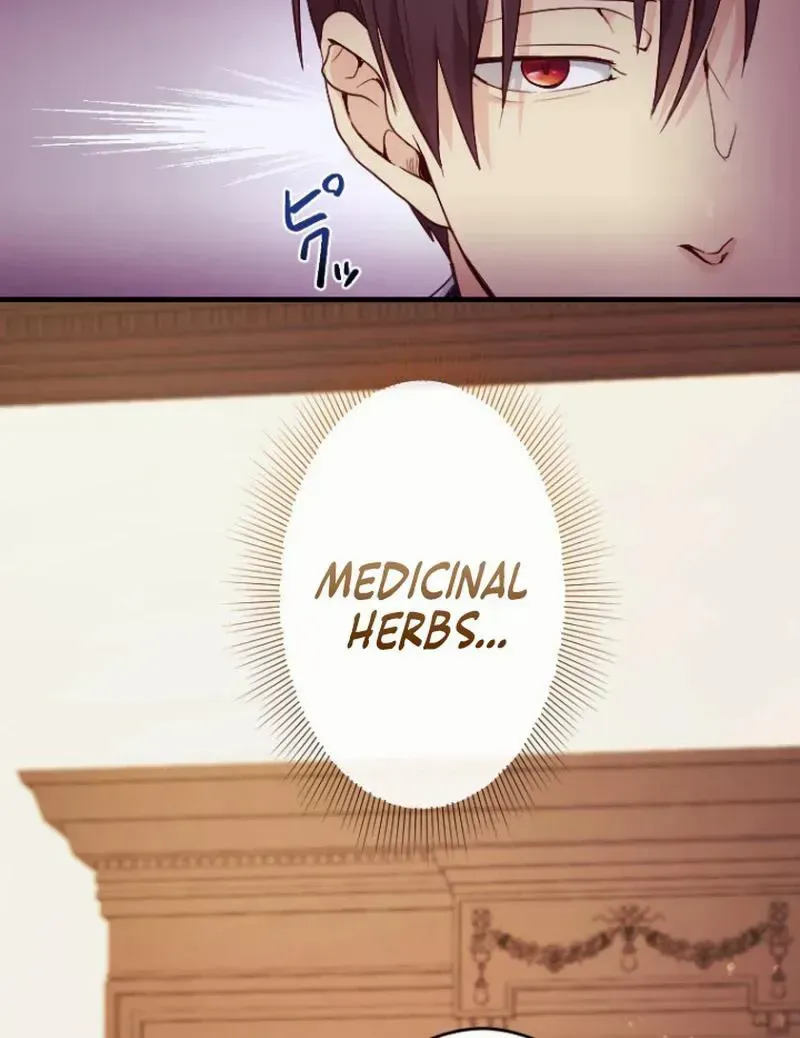 The Reason why Princess White Rose Wears Thorns Chapter 16 page 9 - 