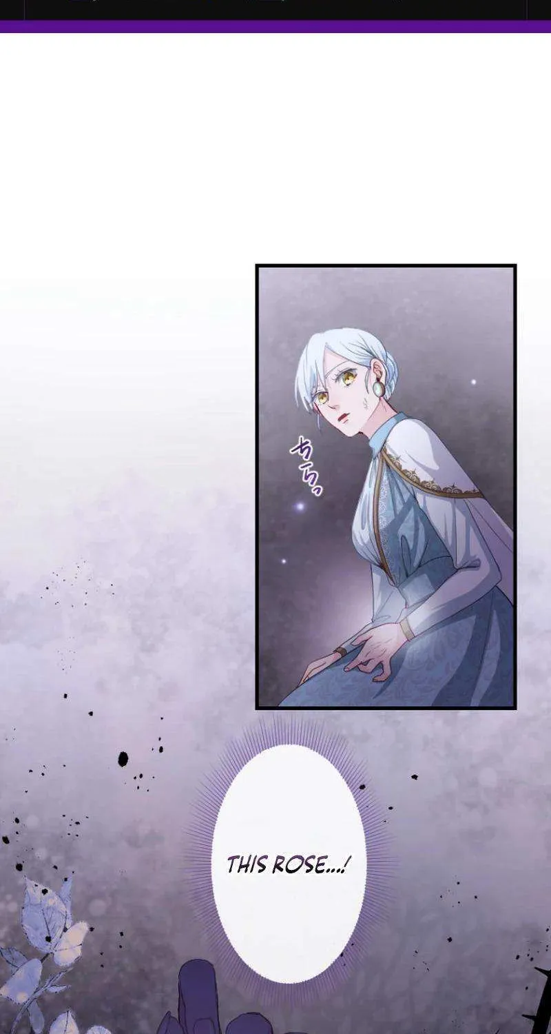 The Reason why Princess White Rose Wears Thorns Chapter 17 page 2 - 