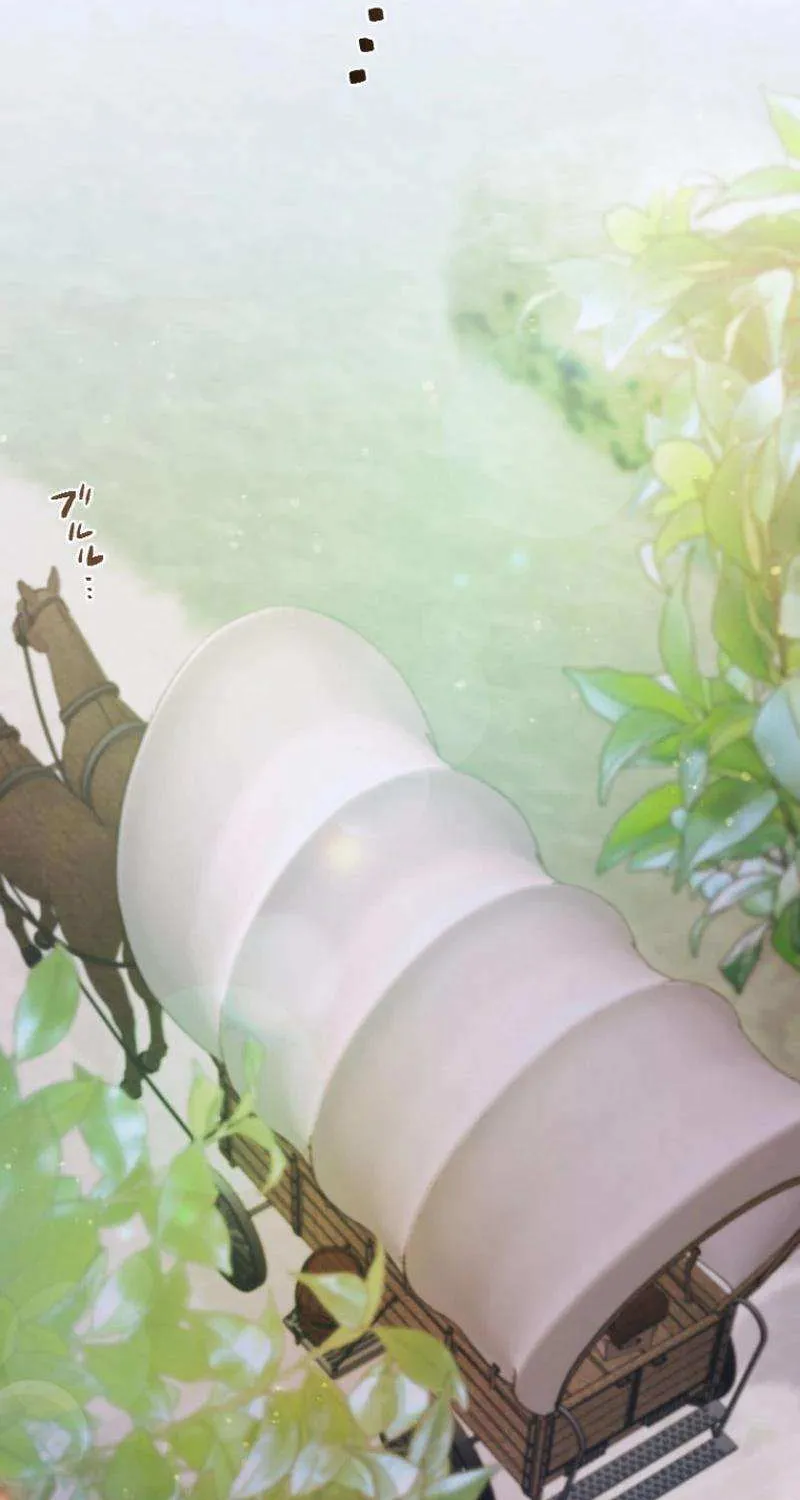 The Reason why Princess White Rose Wears Thorns Chapter 17 page 13 - 
