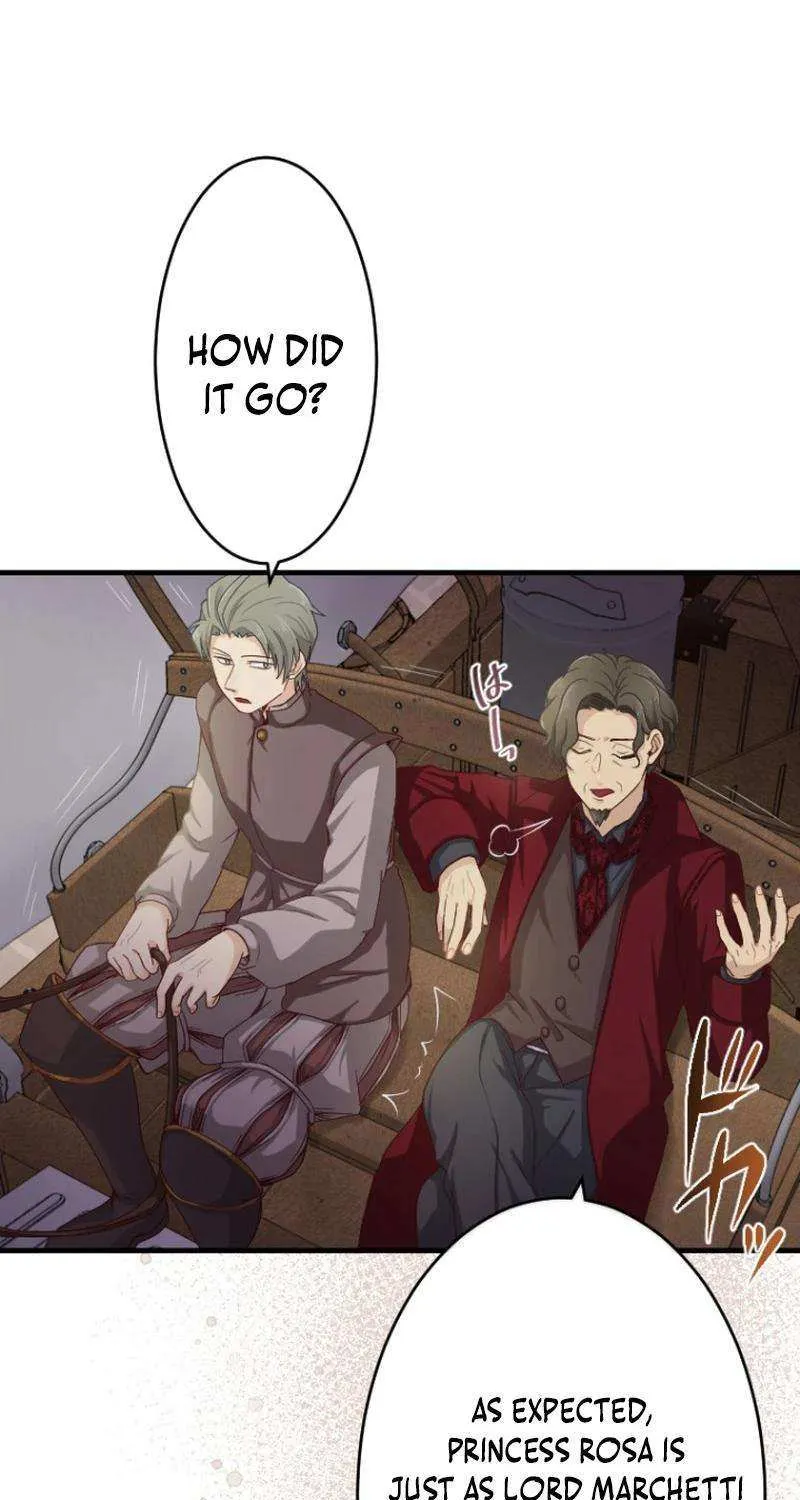 The Reason why Princess White Rose Wears Thorns Chapter 17 page 15 - 