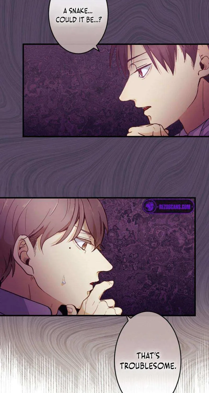 The Reason why Princess White Rose Wears Thorns Chapter 18 page 15 - 
