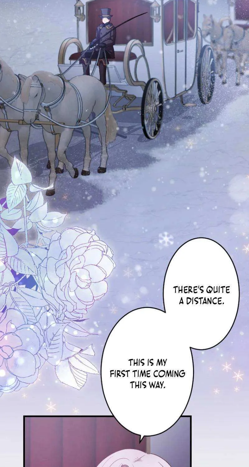 The Reason why Princess White Rose Wears Thorns Chapter 19 page 3 - 