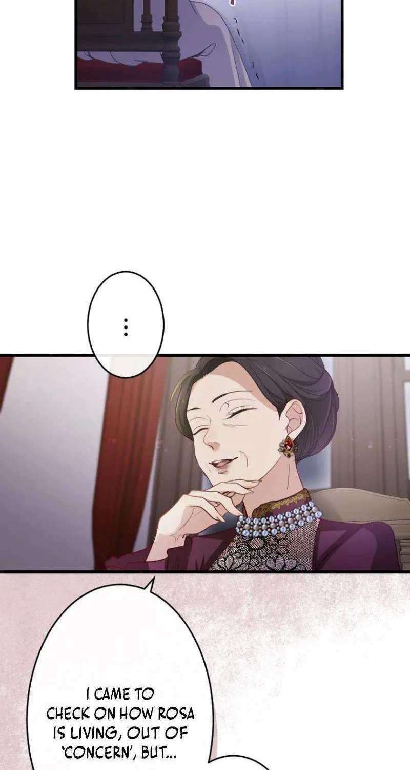 The Reason why Princess White Rose Wears Thorns Chapter 19 page 64 - 