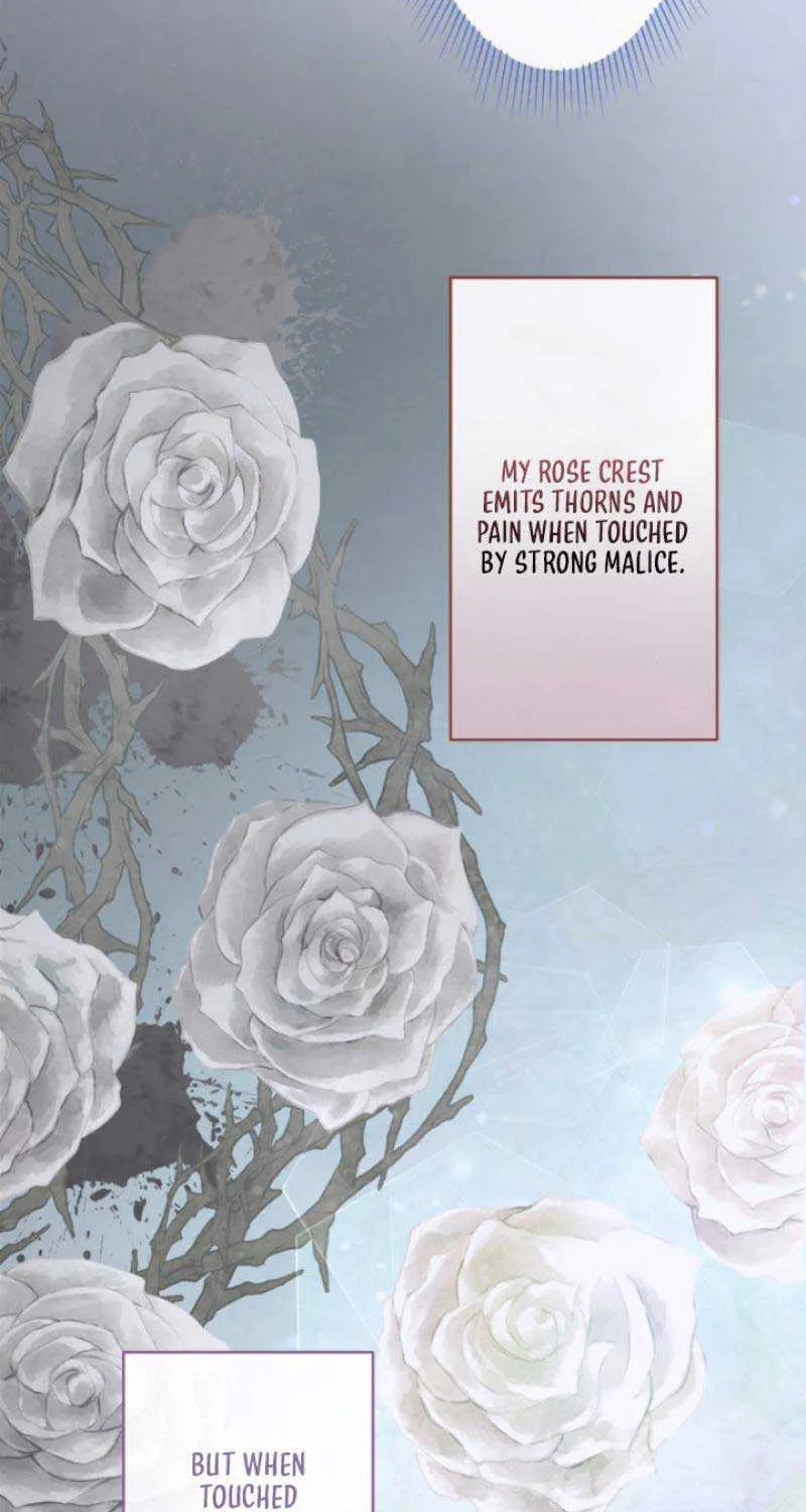The Reason why Princess White Rose Wears Thorns Chapter 4 page 43 - 