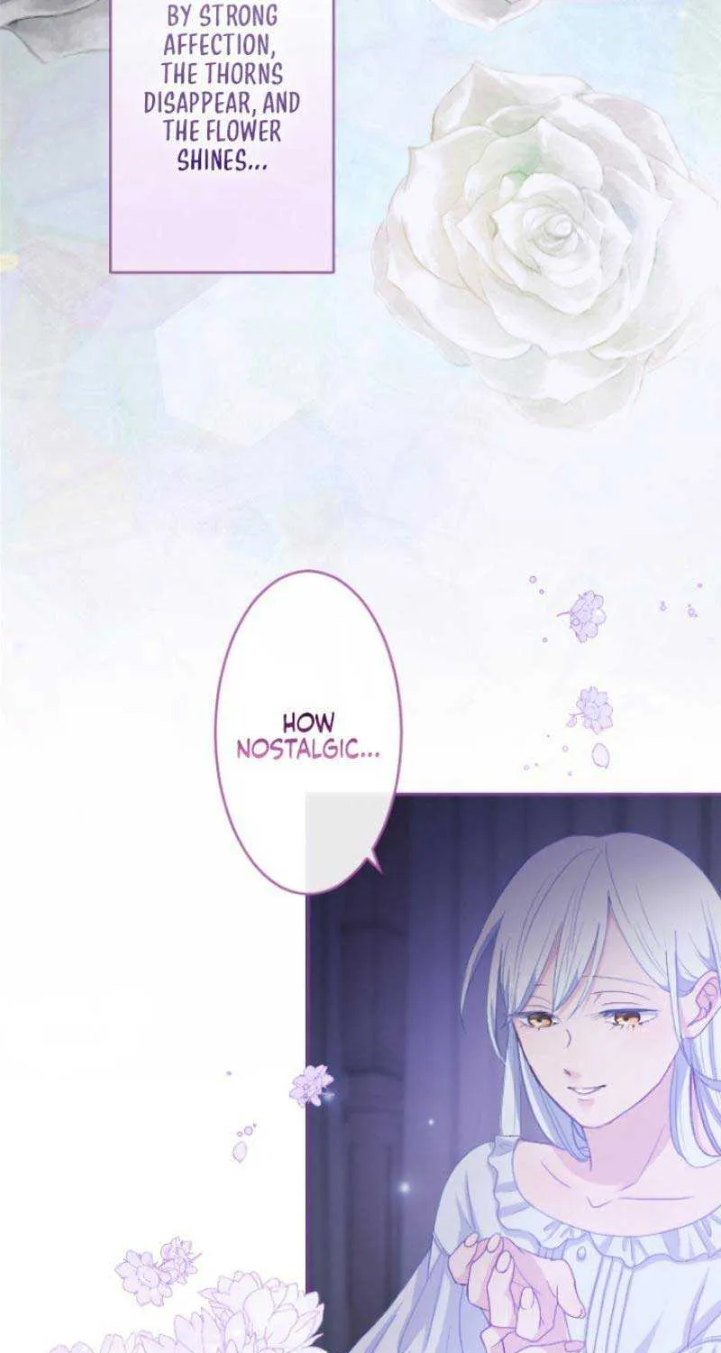 The Reason why Princess White Rose Wears Thorns Chapter 4 page 44 - 
