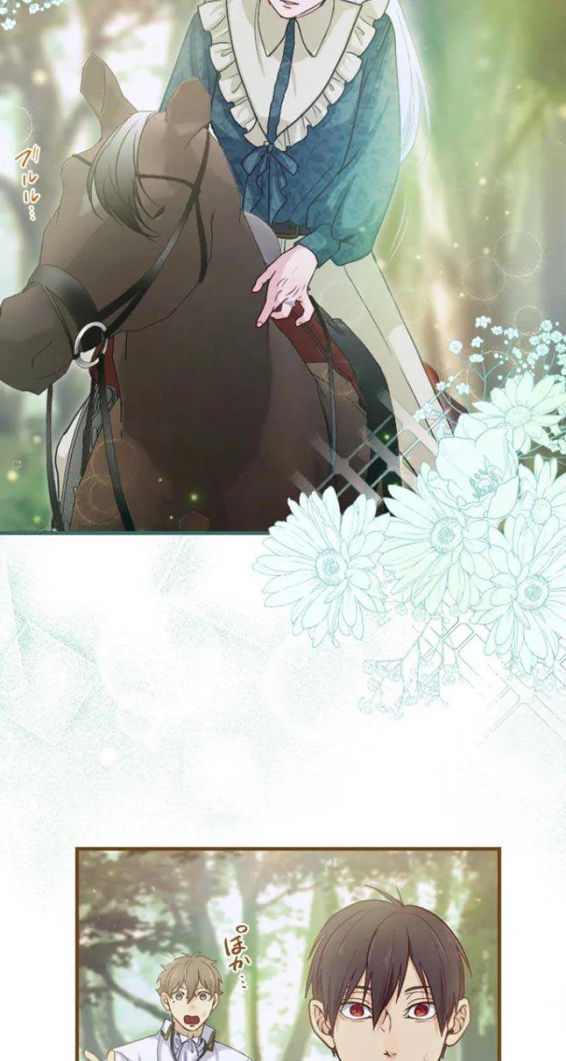 The Reason why Princess White Rose Wears Thorns Chapter 5 page 19 - 