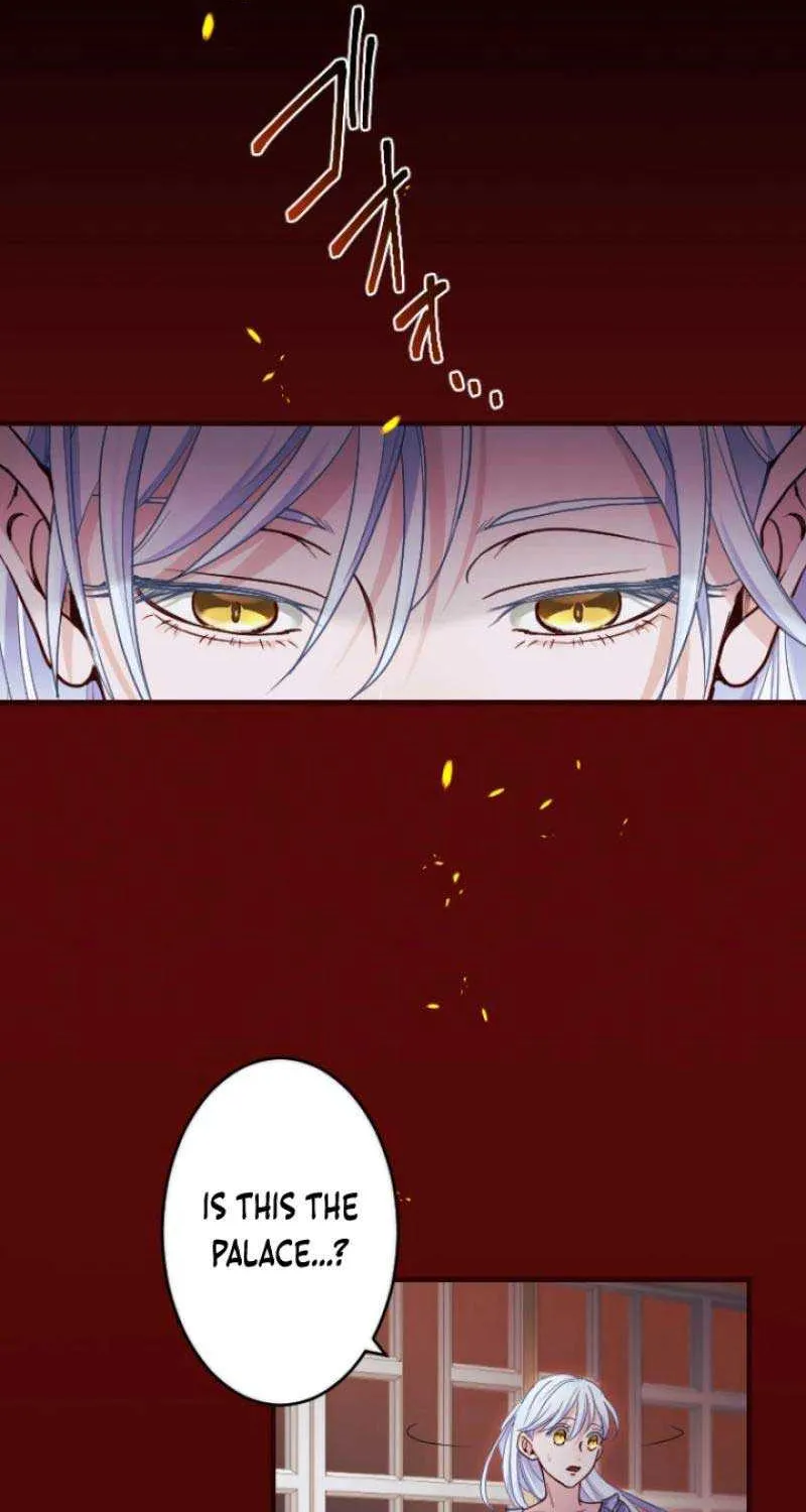The Reason why Princess White Rose Wears Thorns Chapter 5 page 69 - 